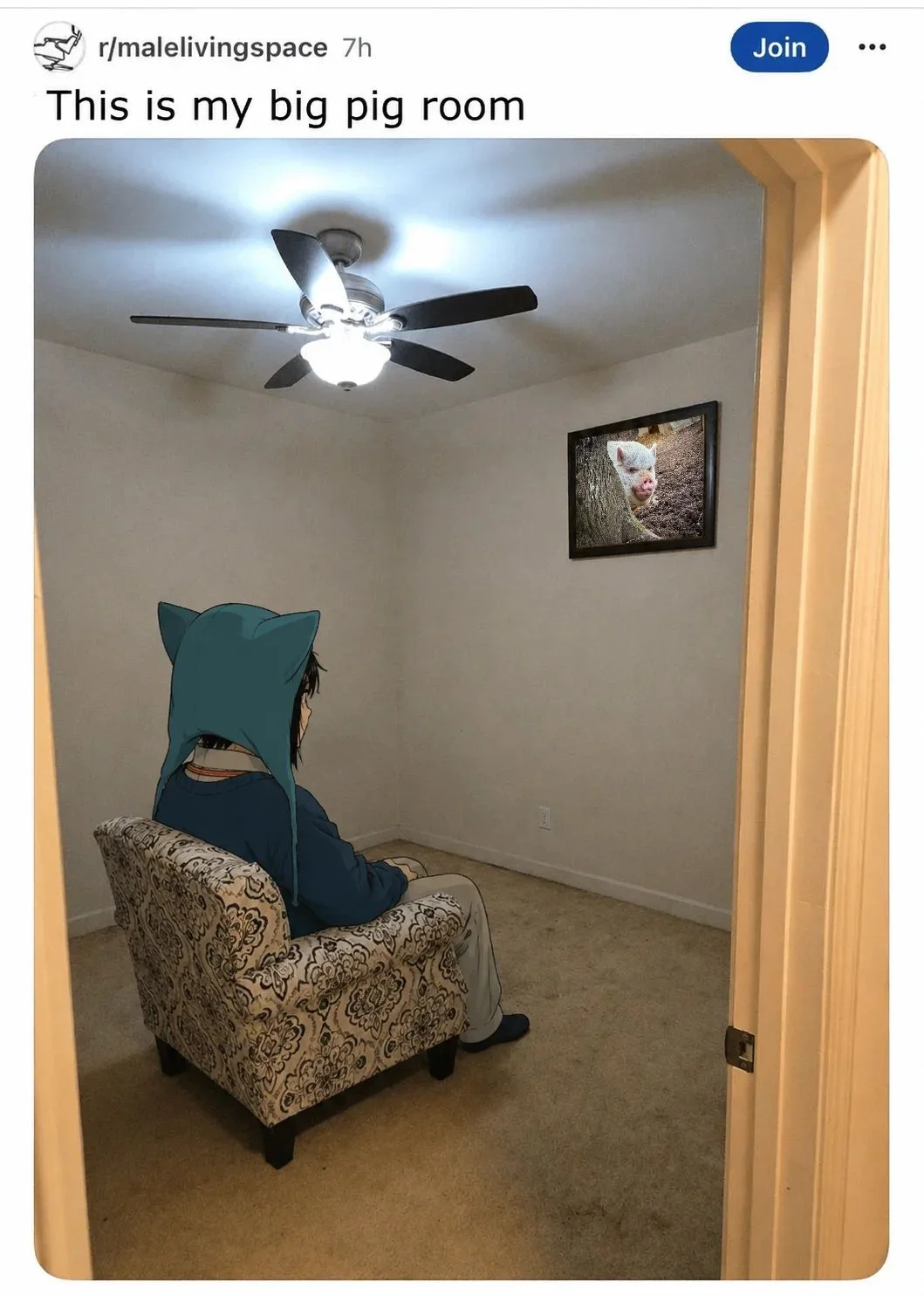 Posted media